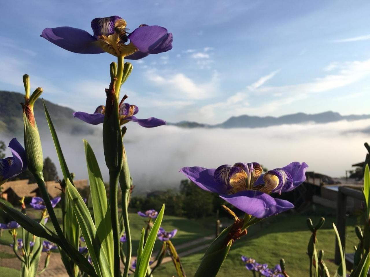 Pousada Caminho Da Mata São Bento do Sapucaí Esterno foto